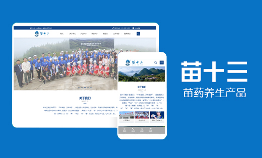 昆明網(wǎng)站建設(shè) 苗十三企業(yè)官網(wǎng)